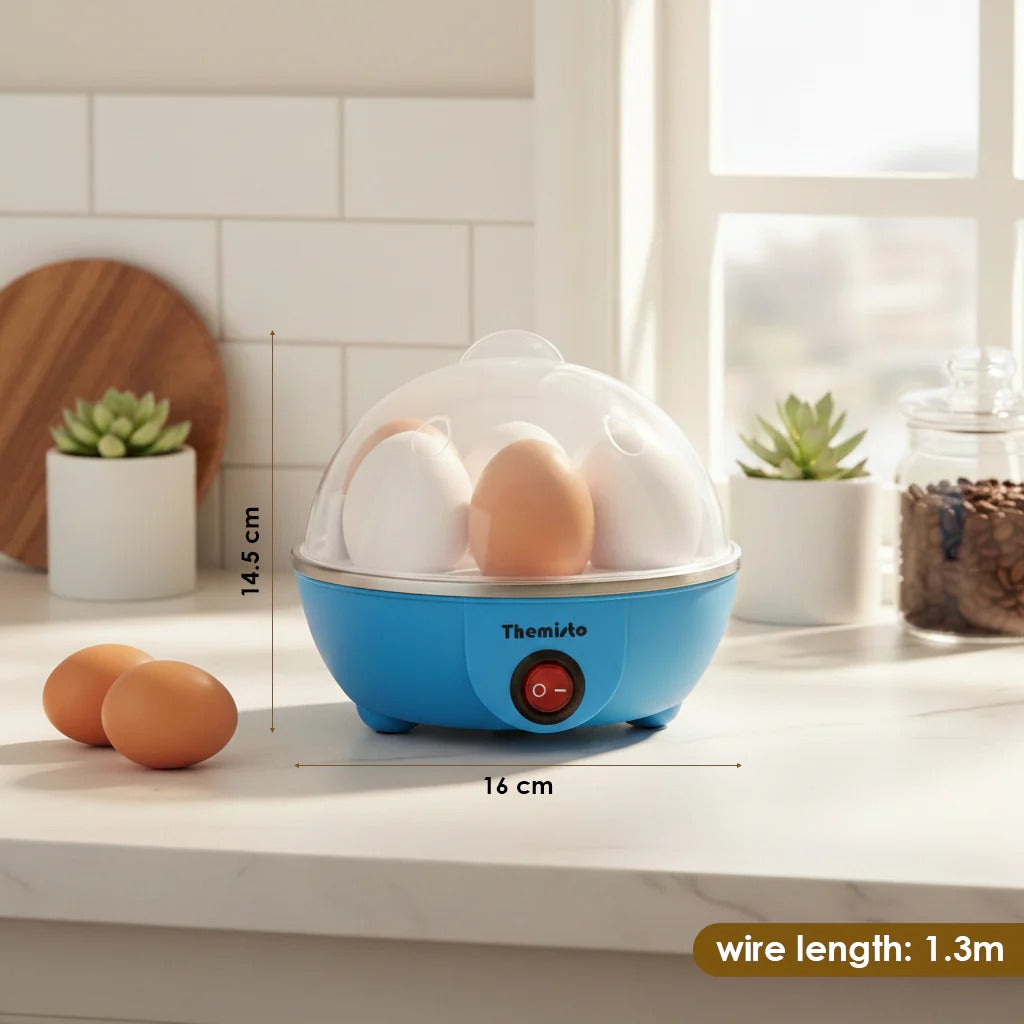 Electric Egg Boiler